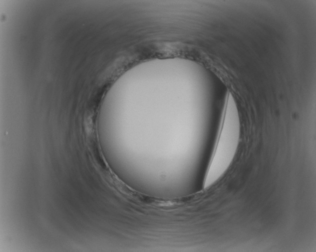 X0000081330611200701111005