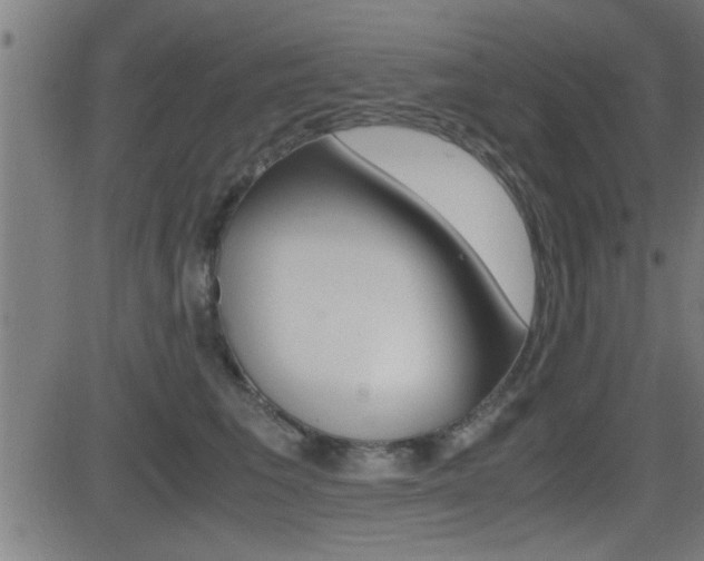 X0000081330613200701111005