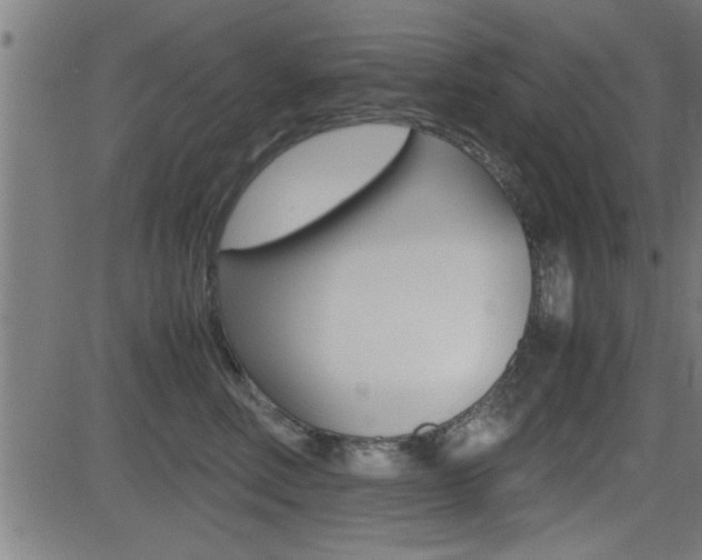 X0000081330618200701111005