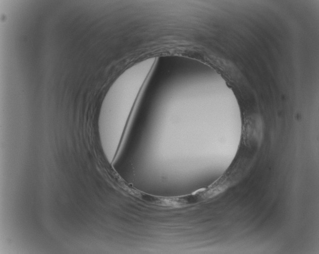 X0000081330623200701111004