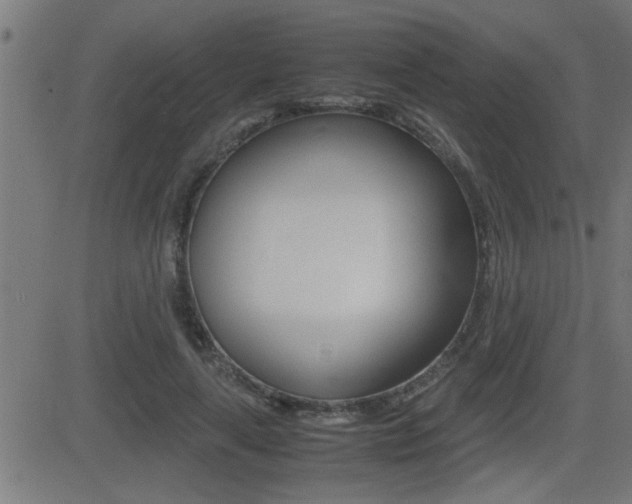 X0000081330643200701111004