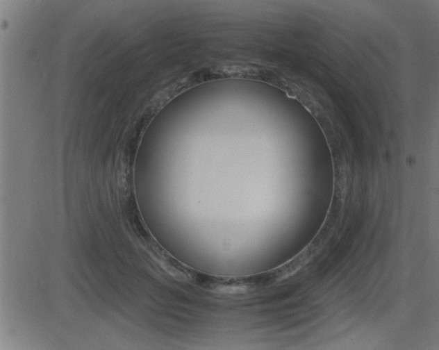 X0000081330653200701111004