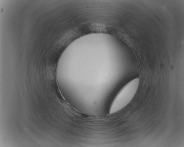 X0000081330658200701111004