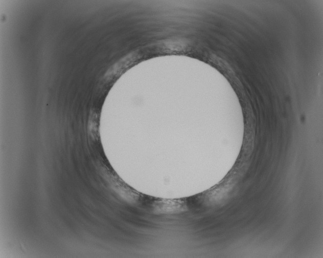 X0000081330672200701111004