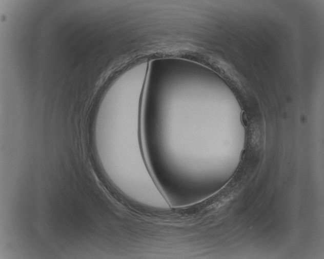 X0000081330685200701111003