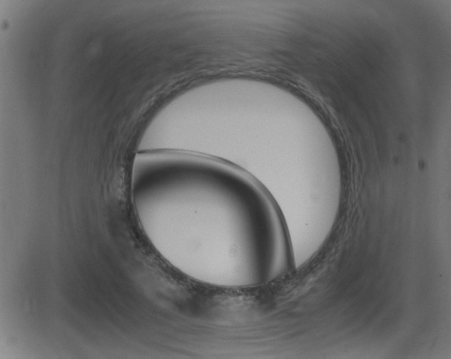 X0000081330689200701111003