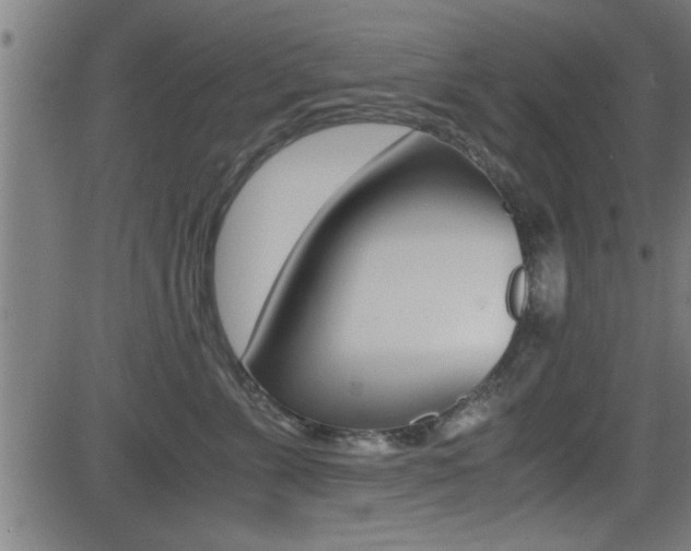 X0000081330715200701111003
