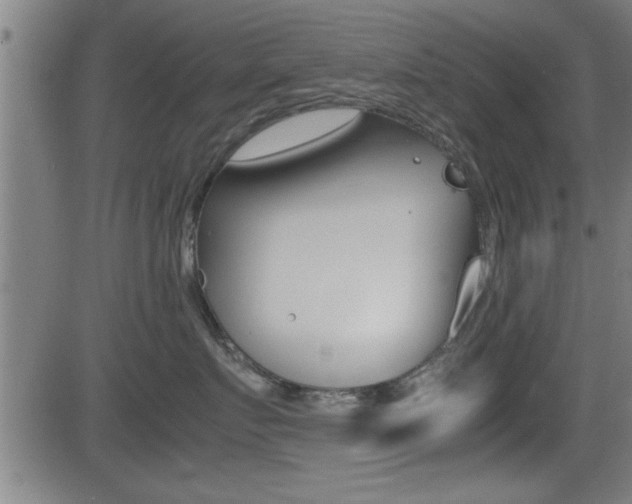 X0000081330719200701111003