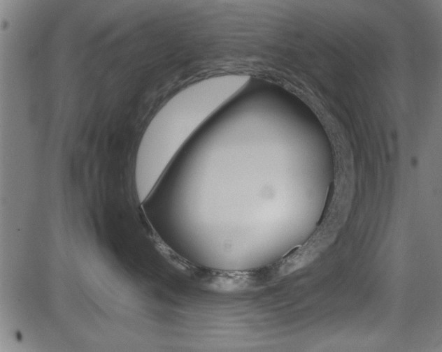 X0000081330720200701111003