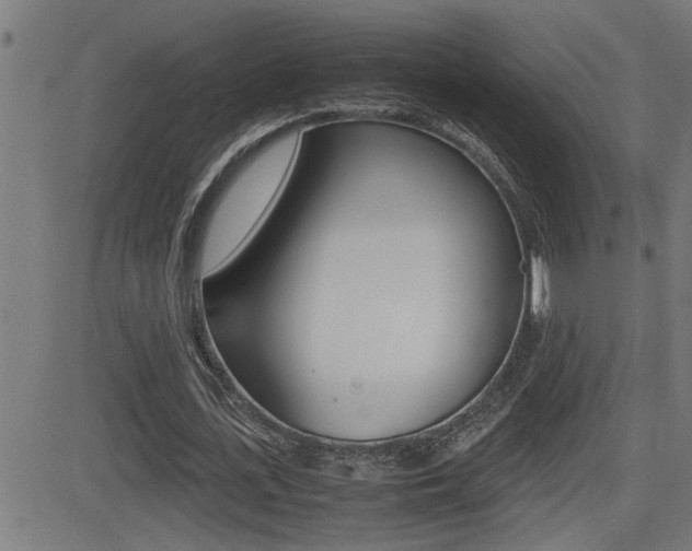 X0000081330723200701111002