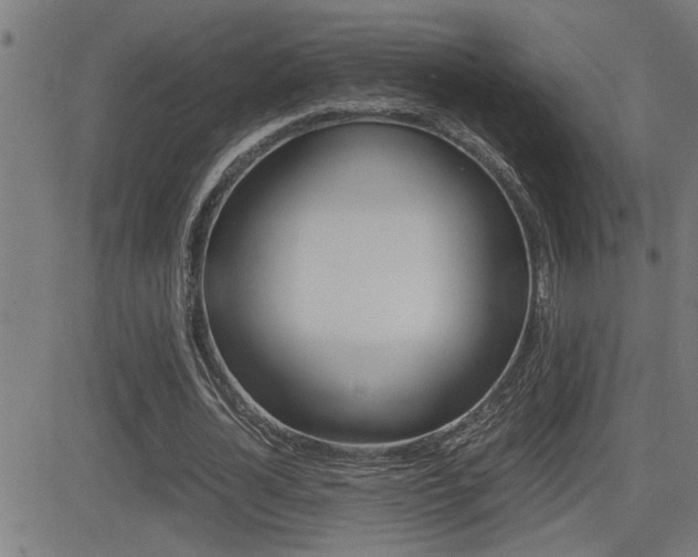 X0000081330724200701111002