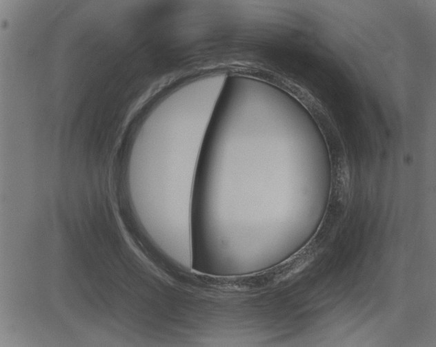 X0000081330734200701111002