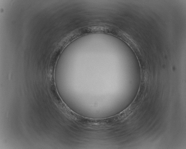 X0000081330737200701111002