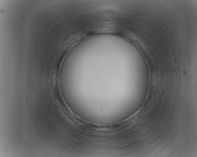 X0000081330741200701111002