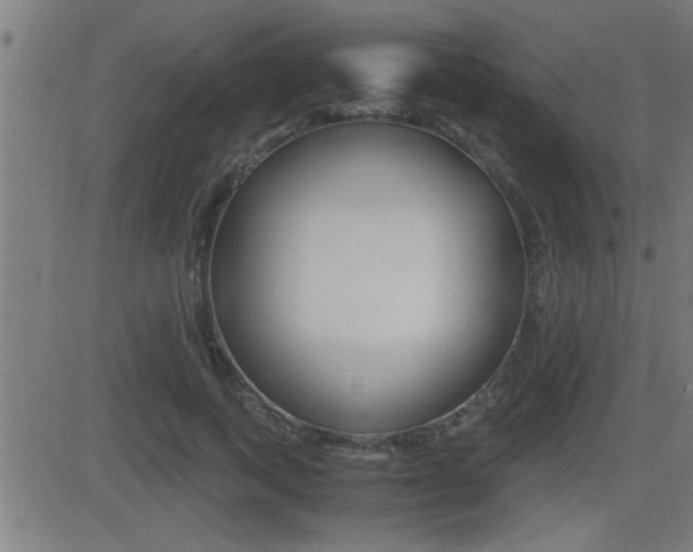 X0000081330743200701111002