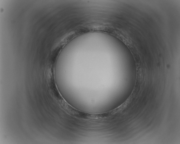 X0000081330746200701111002