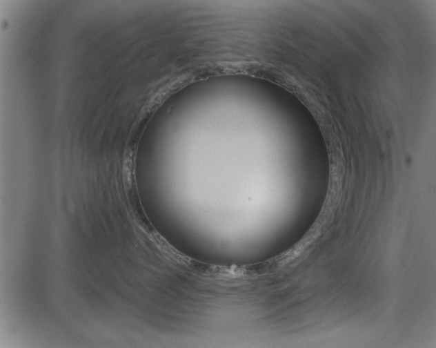 X0000081330768200701111003