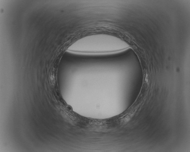 X0000081330771200701111002
