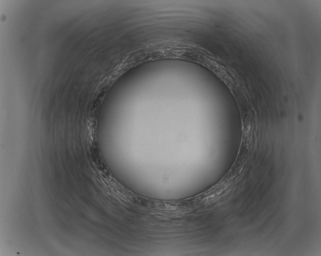 X0000081330772200701111002