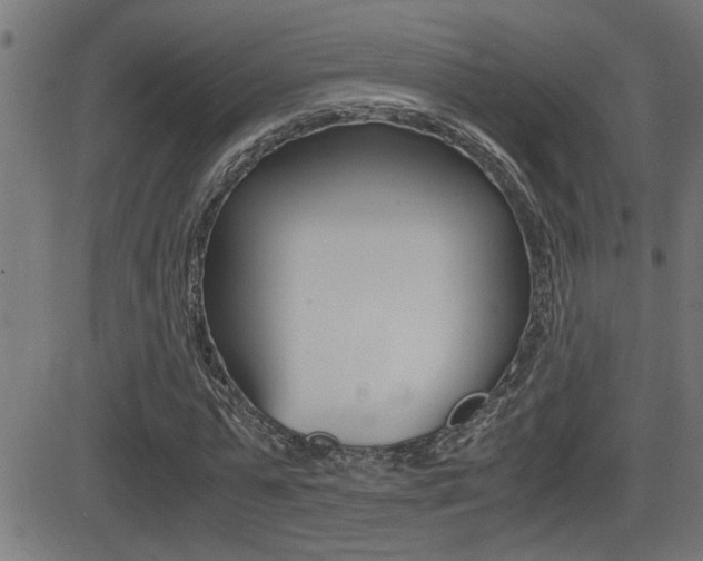X0000081330775200701111002