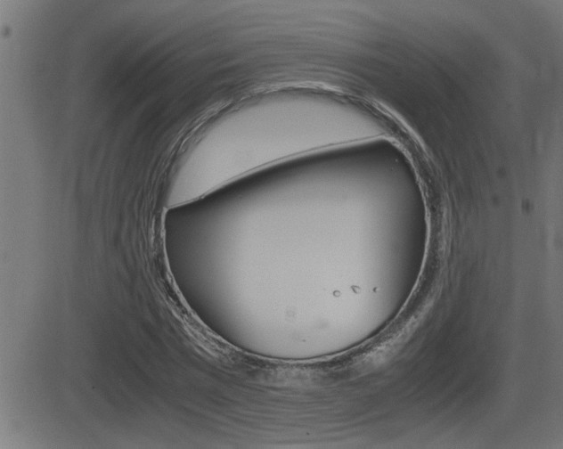 X0000081330777200701111002
