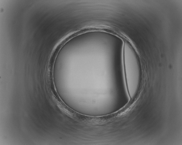 X0000081330779200701111002