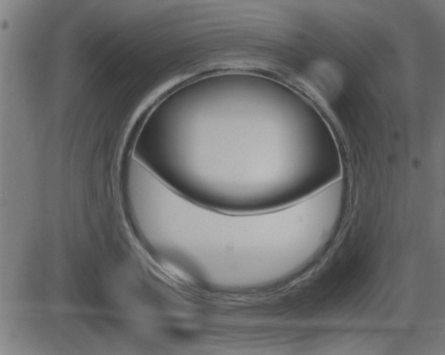 X0000081330787200701111002