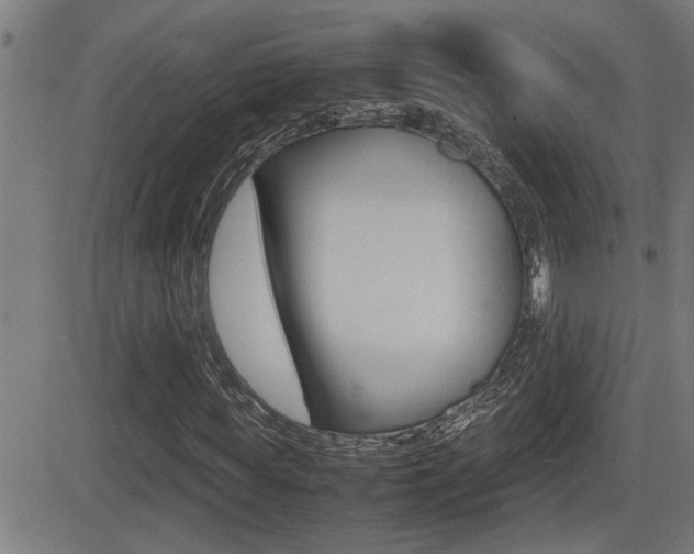 X0000081330819200701111001