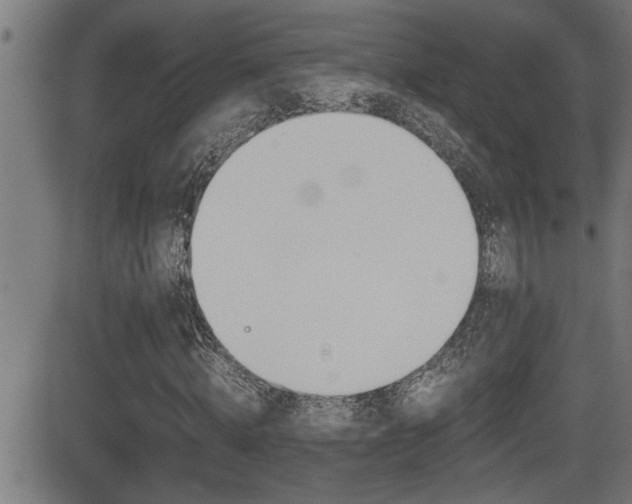 X0000081330820200701111001