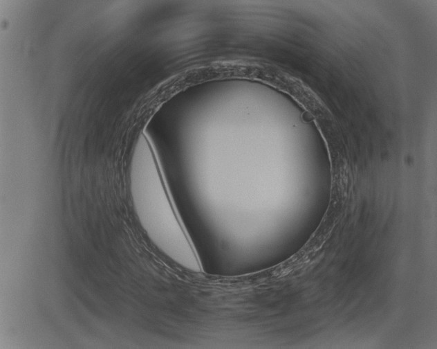 X0000081330821200701111001
