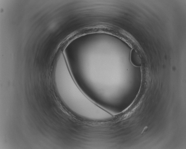 X0000081330826200701111001