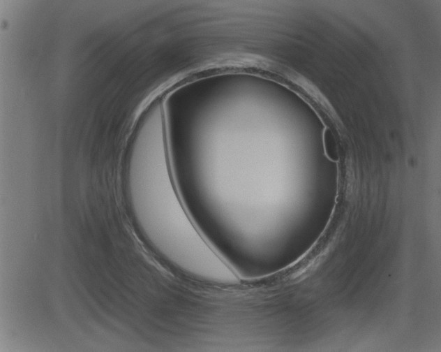 X0000081330834200701111001