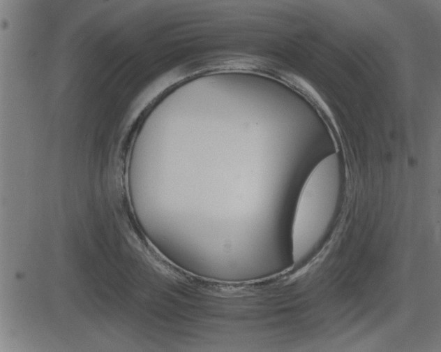 X0000081330835200701111001