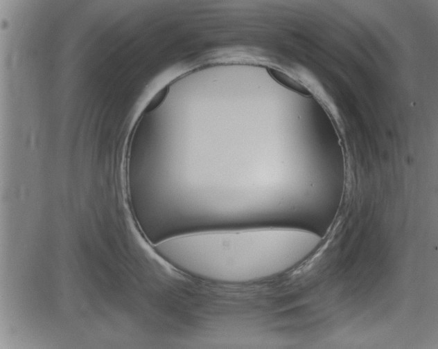 X0000081330863200701111001