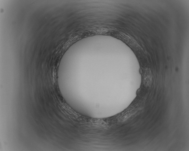 X0000081330866200701111000