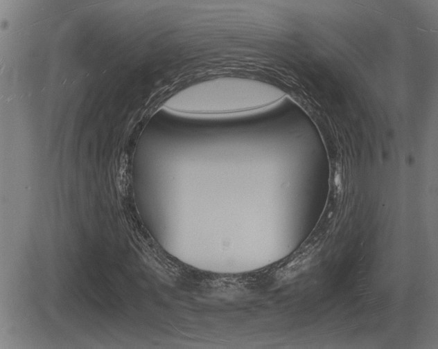 X0000081330867200701111000