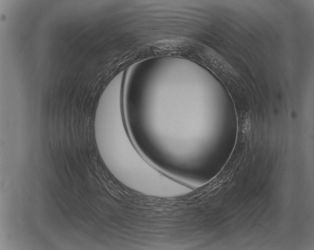 X0000081330868200701111000