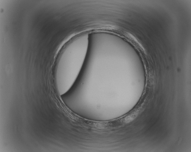 X0000081330875200701111000