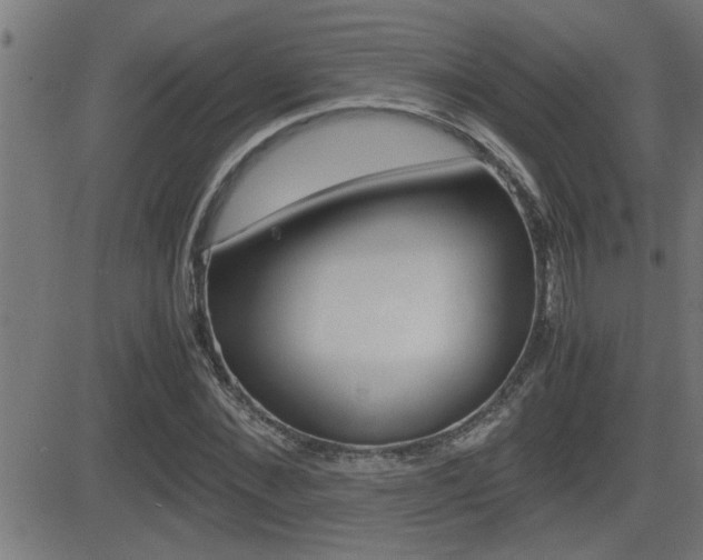 X0000081330876200701111000