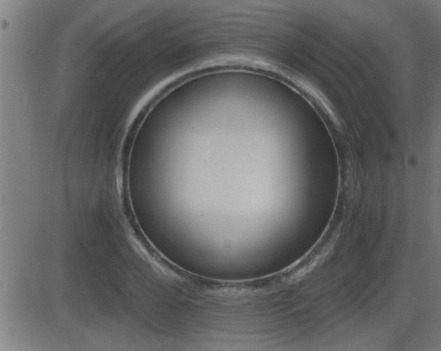X0000081330888200701111000