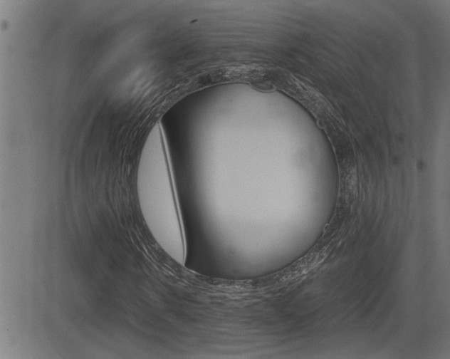 X0000081330914200701110959