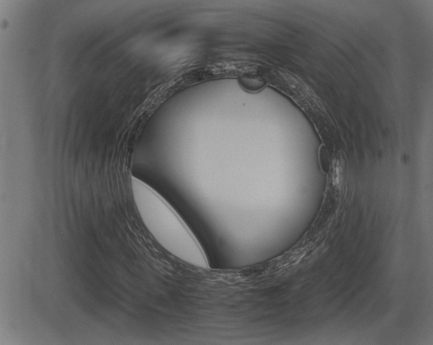 X0000081330915200701110959