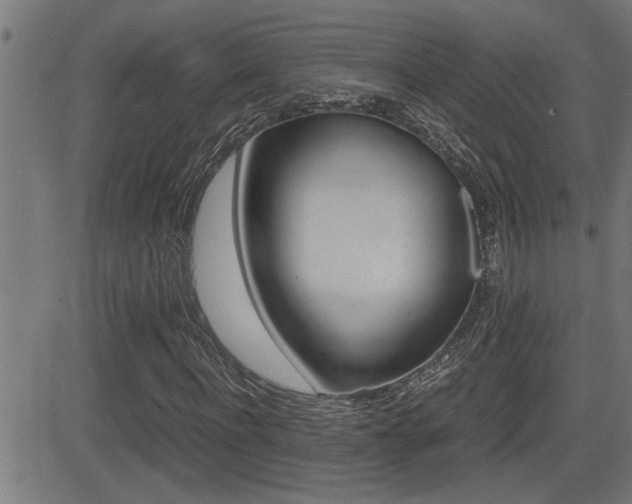 X0000081330916200701110959