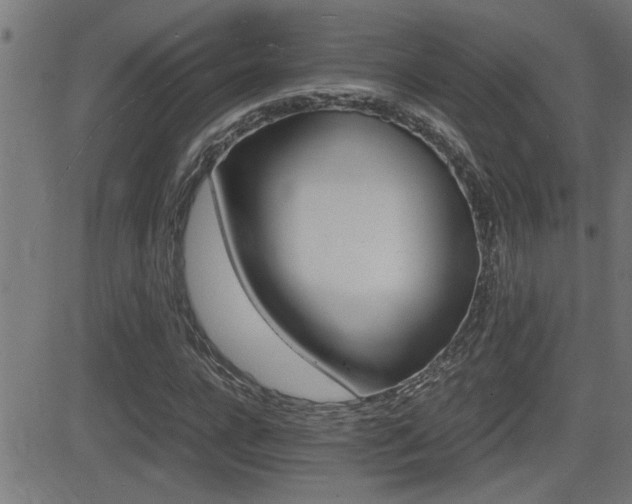X0000081330920200701110959