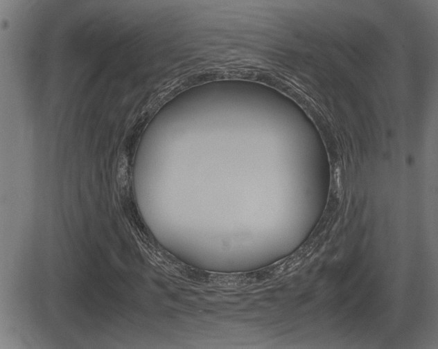 X0000081330963200701110959