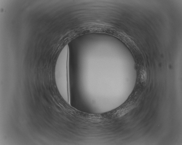 X0000081330964200701110959