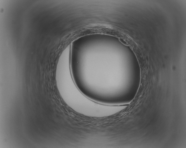 X0000081330965200701110959