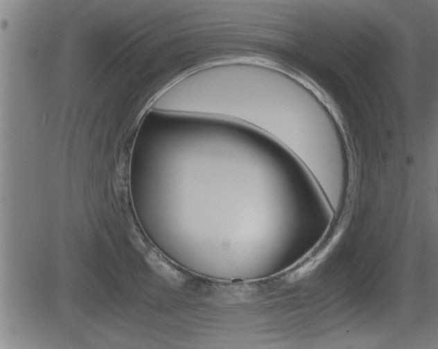 X0000081331001200701110958