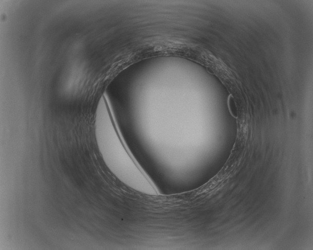 X0000081331012200701110957