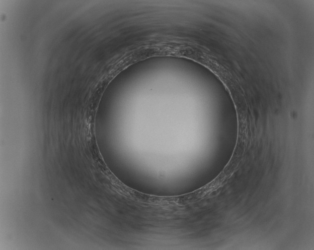 X0000081331013200701110957
